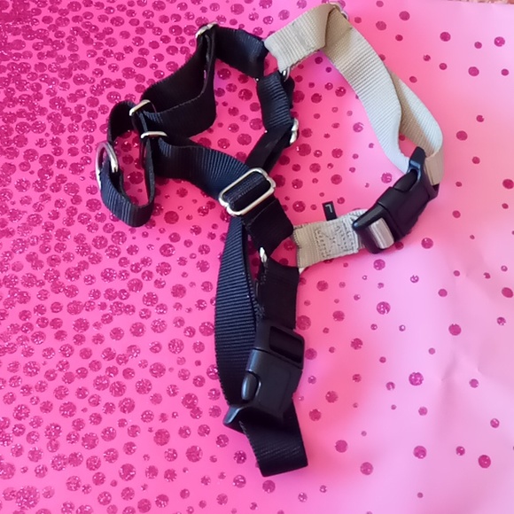 Dog harness size large - Picture 3 of 4